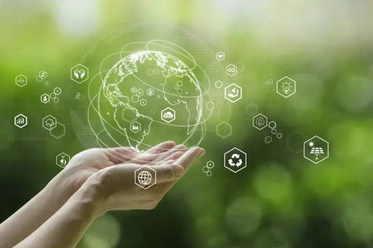 The Sustainable Choice for a Healthier Future
