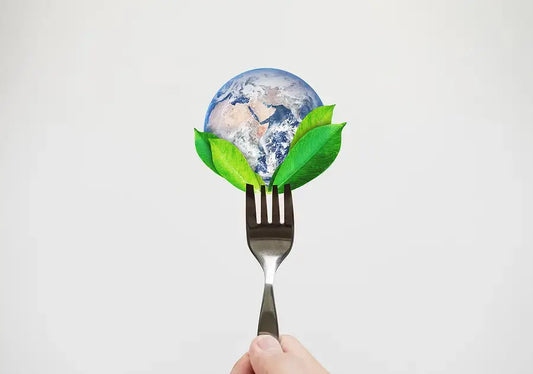 The Future - Freeze-Dried Foods