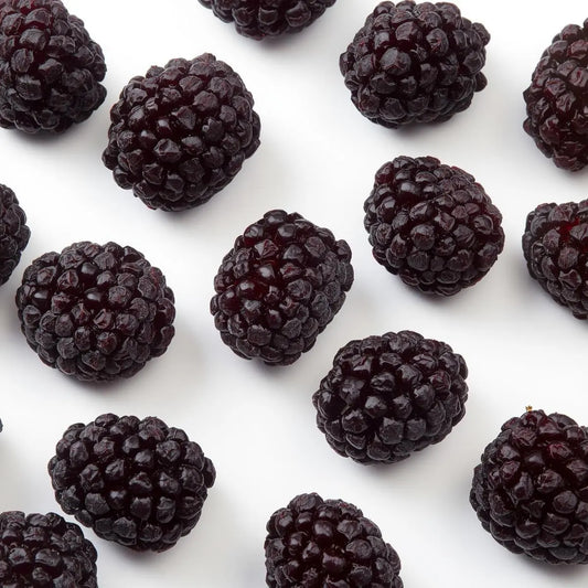 Freeze-Dried Black Mulberries VitalBites