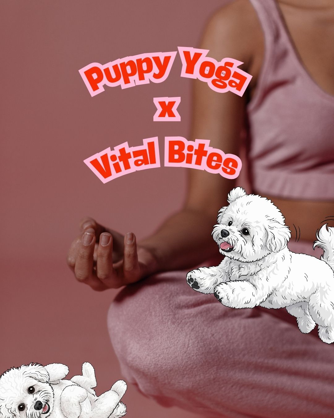 Valentines Day Puppy Yoga