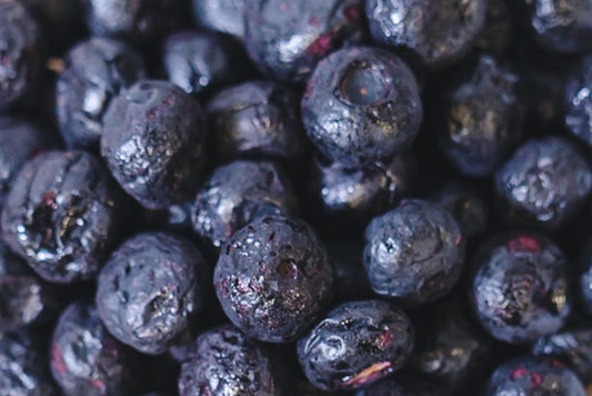 Freeze Dried Blueberry Bulk 1 KG VitalBites