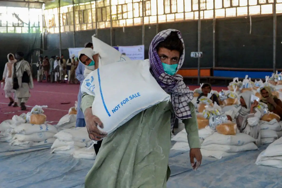 Freeze-Dried Foods: A Proven Solution to Global Food Insecurity