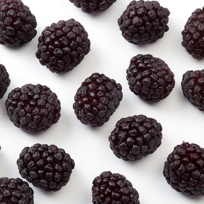 Freeze-Dried Black Mulberries VitalBites
