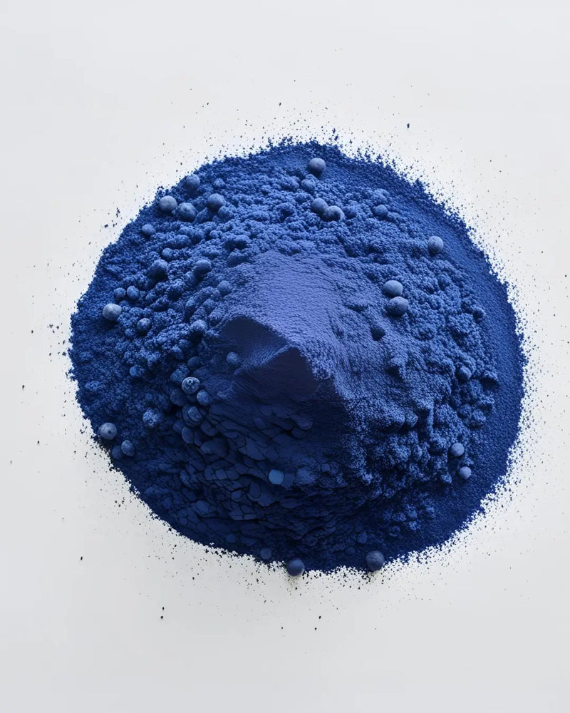 Freeze Dried Blueberry Powder VitalBites