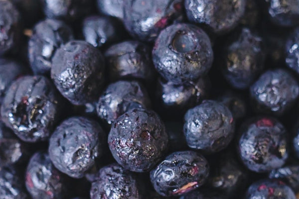 Freeze Dried Blueberry Bulk 1 KG VitalBites